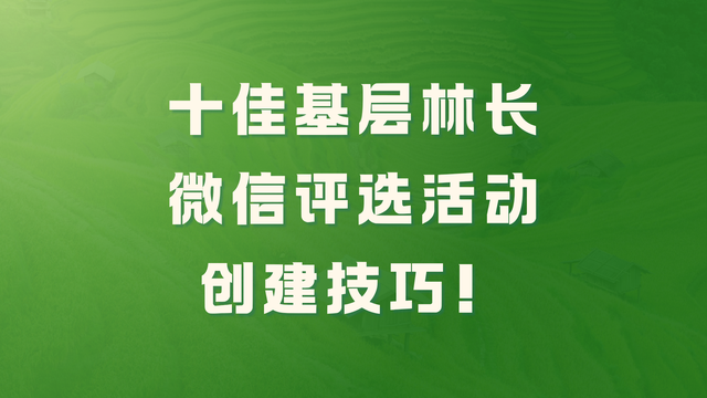 十佳基层林长微信评选活动创建技巧！